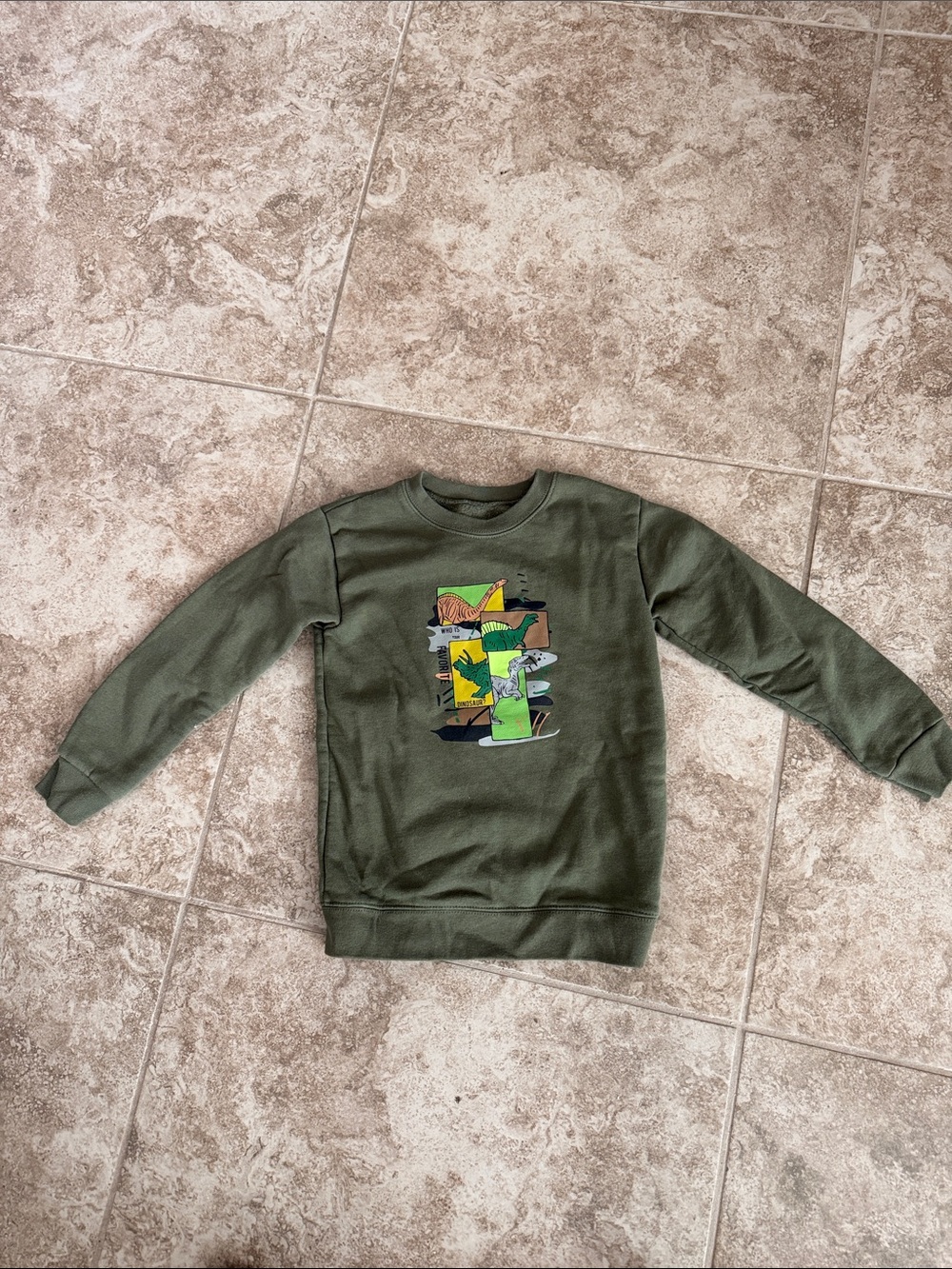 Garanimals Olive Green Crewneck Sweatshirt with Colorful Block Dino Graphic